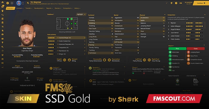 SSD Gold skin for FM21